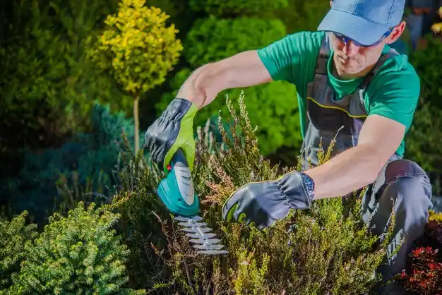landscaping services North Bend